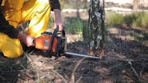 Best Lawn Watering Services  in Kensington, CA